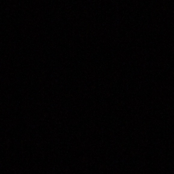 Meet your Posher, Lily - Picture 1 of 1